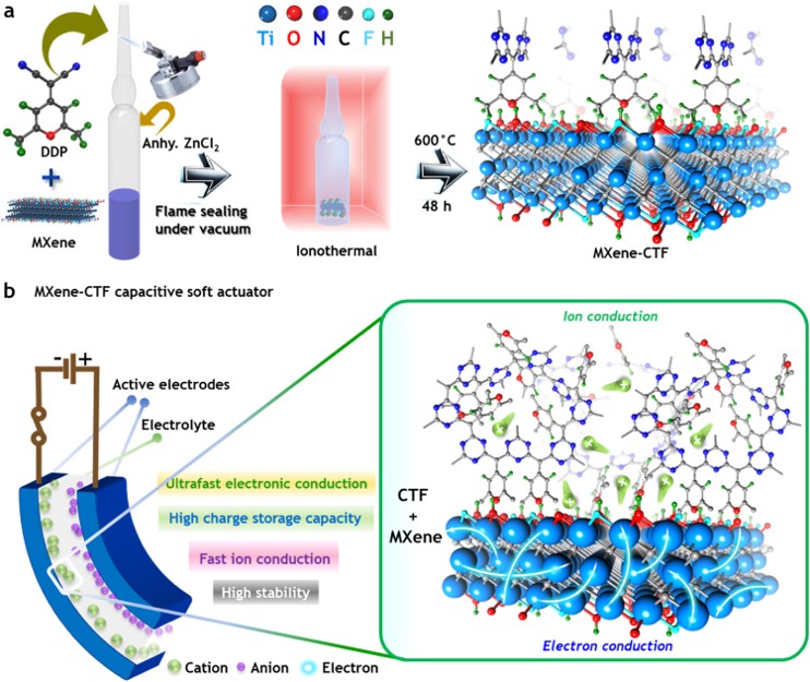 molecular engineering of mxene-covalent-triazine framework interfaces for electrochemical actuators.jpg